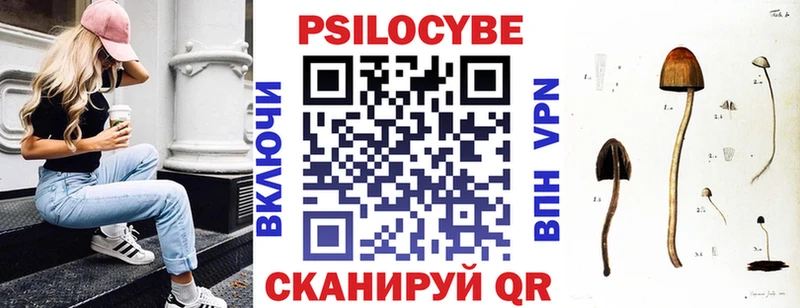Купить  Большой Камень  Галлюциногенные грибы Psilocybine cubensis 